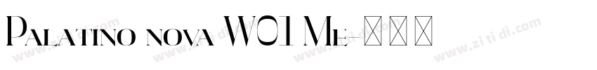 Palatino nova W01 Me字体转换 Palatino nova W01 Me字体转换